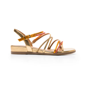 Flexi 131301 Multicolor