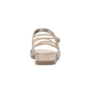 FLEXI 131301 PLATA